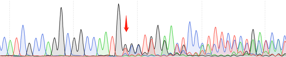 MC3T3-E1 Subclone 14-CAS9 cell line Product Validation Data（RT-QPCR）